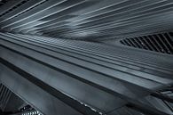 Luikse spoorwegstation van Marius Mergelsberg thumbnail