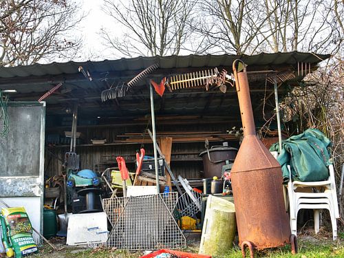 Shed with tools and junk