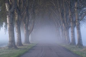 Brouillard sérieux
