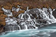 Wasserfall Hraunfossar in Island von Albert Mendelewski Miniaturansicht