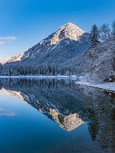 Un miroir parfait sur Denis Feiner