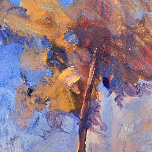 Tree canopy by Nop Briex