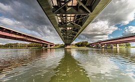 Connection by Ria Overbeeke