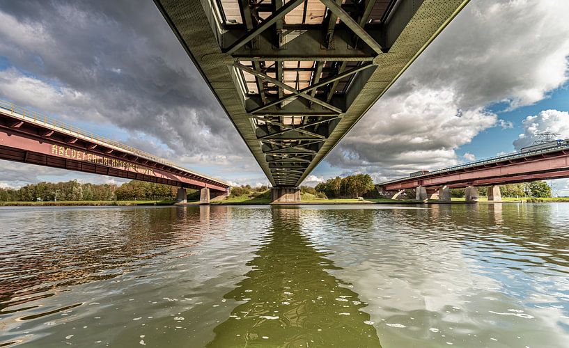 Connection by Ria Overbeeke