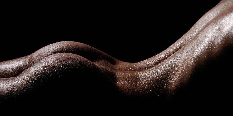 Bodyscape van Peter Nackaerts