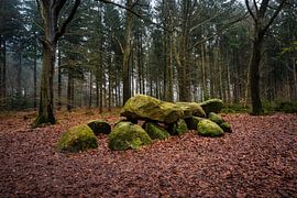 Hunebed im Evertsbos von Alexander van der Molen
