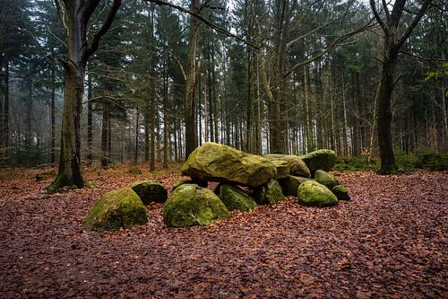 Hunebed in the Evertsbos