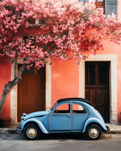 Een Schilderachtige Rit