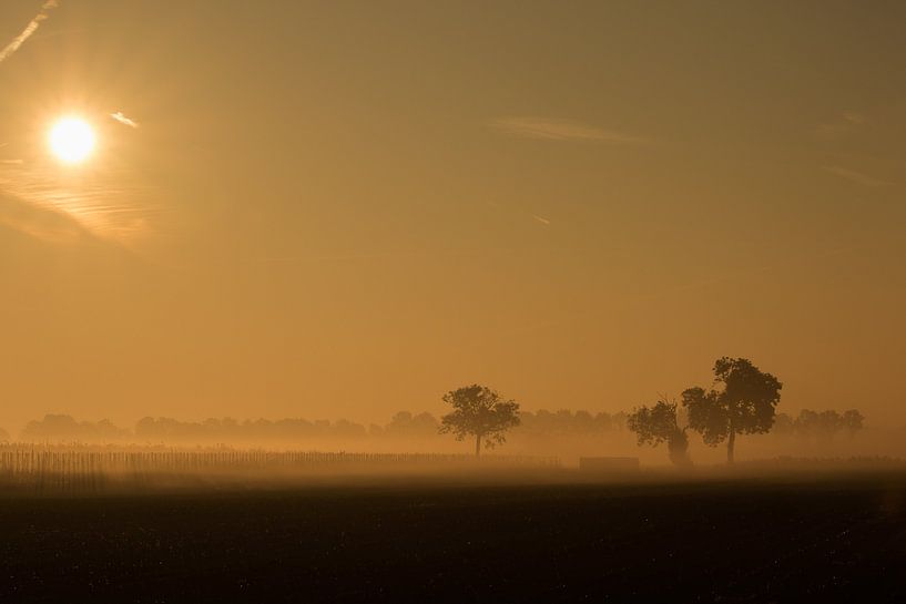 Sunrise by sophiimage