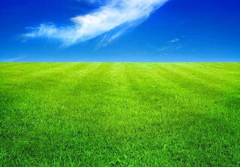 Green grass by Bo Valentino
