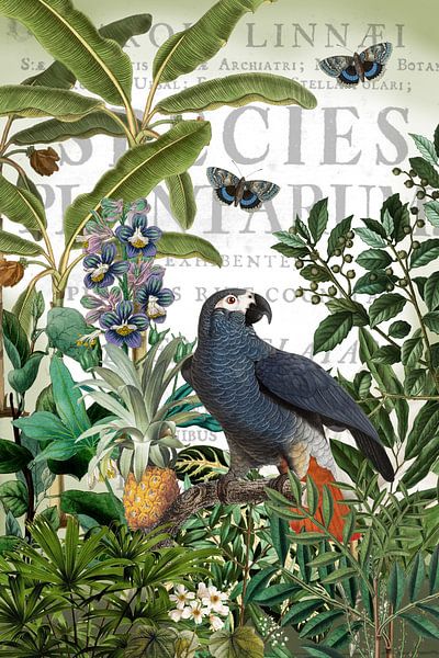 About searching and hiding by christine b-b müller