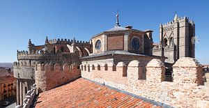 Catedral del Salvador, Cathédrale avec murailles, Avila, Castilla y Leon, Castilla y Leon, Espagne, 