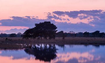 Strabrechtse Heide 200 by Deshamer