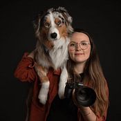 Traveling dogs Profile picture