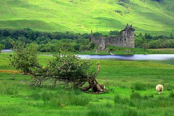 Kasteel Kilchurn van Patrick Lohmüller