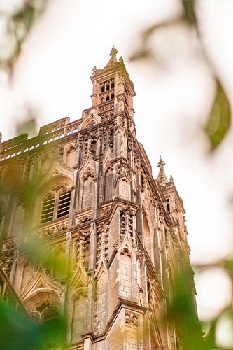 England - The Tower of Gloucester Cathedral