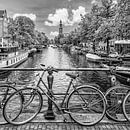 Typisch Amsterdam | Monochroom van Melanie Viola thumbnail