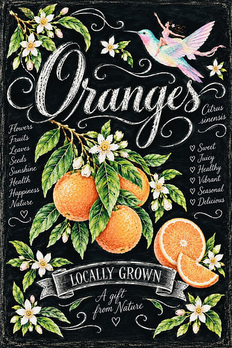 Oranges – Citrus Sinensis Botanical Garden Fairy