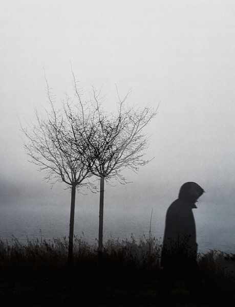 Mystical silhouette in the mist by Imaginative