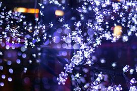 Christmas Lights by Marianna Pobedimova