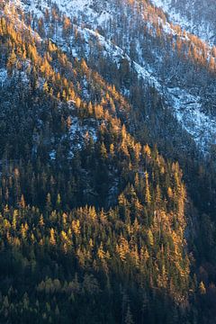 Letztes Licht auf dem Hochkalter in den Bayerischen Alpen von Daniel Gastager