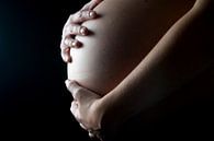Der Bauch einer schwangeren Frau von Marcel Mooij Miniaturansicht