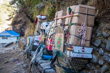 Nepalese dragers of Sherpa brengen alles te voet omhoog.