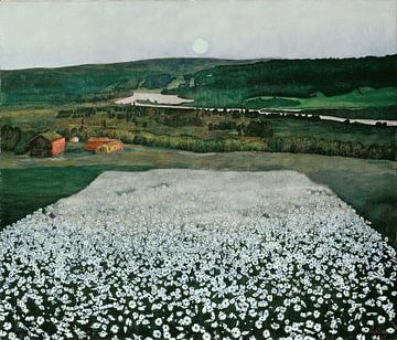 Bloemenweide in het noorden van Artistic