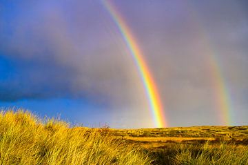 Regenboog in de duinen op het eiland Texel in het Waddenzeegebied van Sjoerd van der Wal Fotografie
