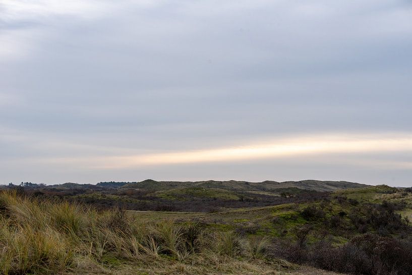 Dune landscape by Danielle Bosschaart