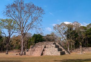 Honduras: Copán (Los Sapos)