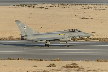 Take-off Royal Air Force Typhoon Display Team. by Jaap van den Berg