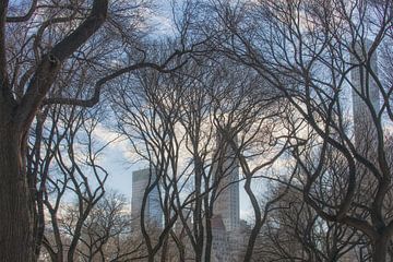 Central Park New York City by Marcel Kerdijk