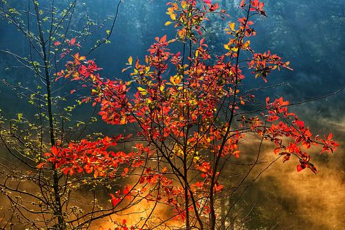 Autumnmood | Twickel Delden (6)