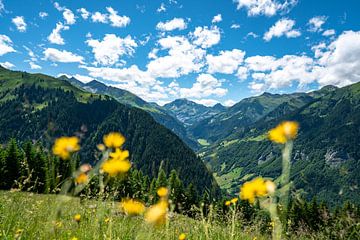 Blumige Aussicht auf die Schweizer Alpen