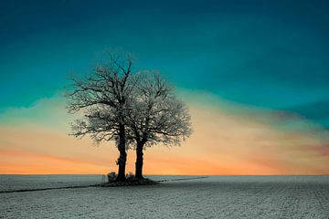 Zonsopkomst bij een winters landschap. van Gert Hilbink