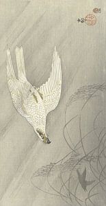 Jagdfalke des Ohara Koson