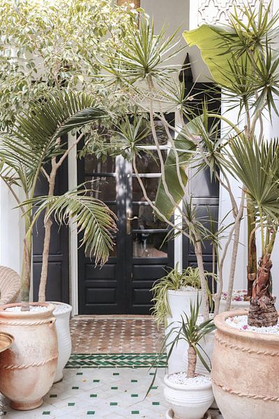 Beautiful Entrance With Tropical Plants In Marrakech, Morocco by Henrike Schenk