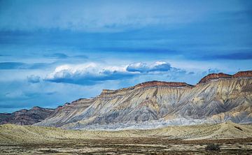 Wüste Landschaft in Colorado, USA von Rietje Bulthuis