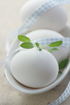 Fresh eggs Country Life by Tanja Riedel