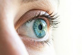 Blue Eye Close-Up by Markus Gann
