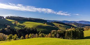Schwarzwald bei St. Peter im Herbst von Werner Dieterich
