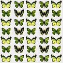 GRAPHIC PRINT BUTTERFLIES 6 by IYAAN thumbnail