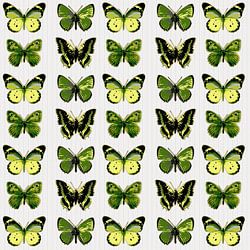 Wiederkehrende Muster