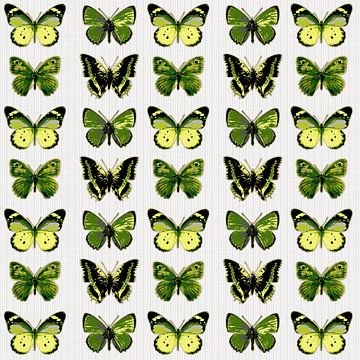 GRAPHIC PRINT BUTTERFLIES 6 by IYAAN
