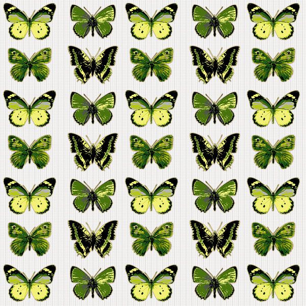 GRAPHIC PRINT BUTTERFLIES 6 by IYAAN