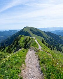 Hiking between Hochgrat Ridge and Rindalphorn - Scenic Alpine Landscape in Nagelfluhkette Bavaria