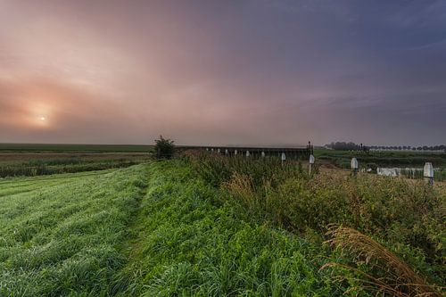 Misty Shock country province of Flevoland