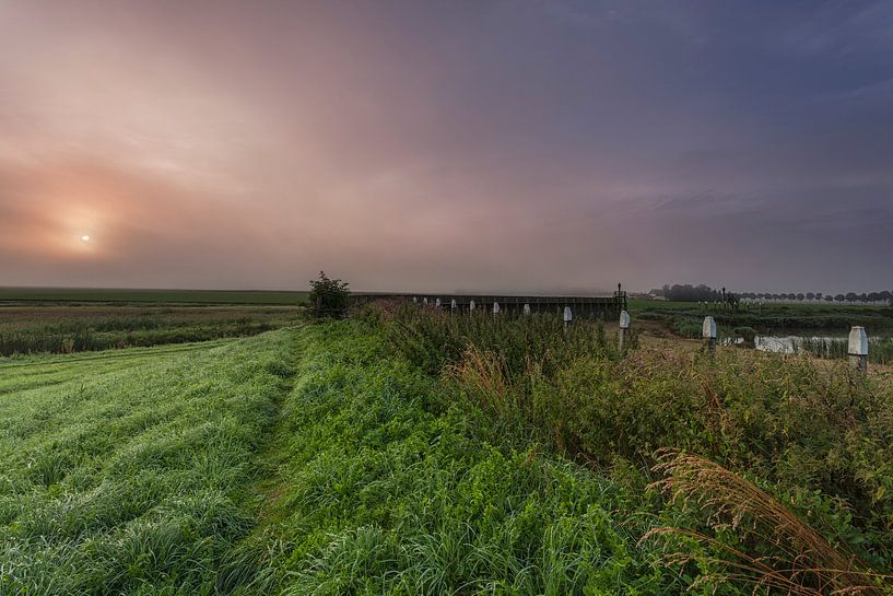 Misty Shock pays province du Flevoland par Adrian Visser