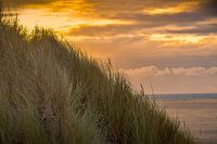 Strand von Texel bei Sonnenuntergang